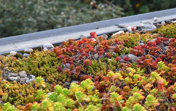 the cost of Felhampton green roof installation