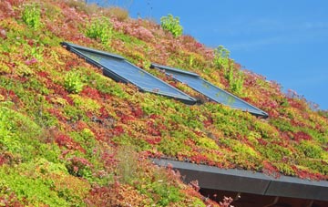 Felhampton living roof systems