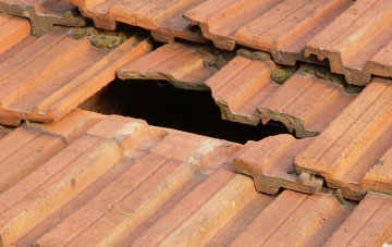 roof repair Felhampton, Shropshire