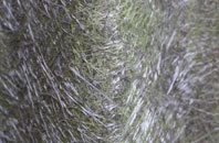 Felhampton fibreglass roof work